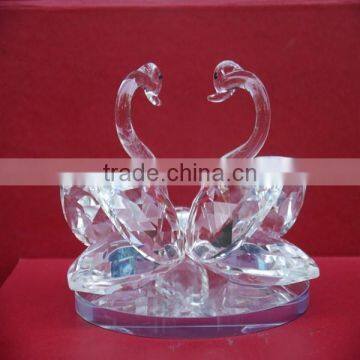 Best Selling Products for Clear Swan photo-3
