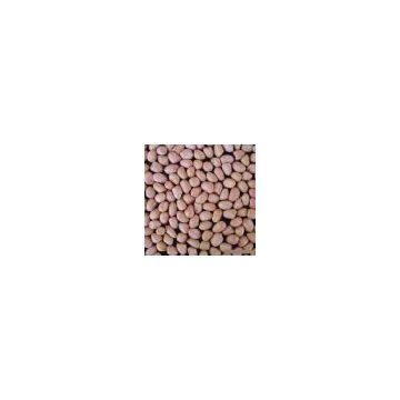 Sell Peanut Kernels (Round)