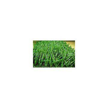 Polypropylene Durable Baseball Artificial Grass / Fake Turf Field Green 10000Dtex