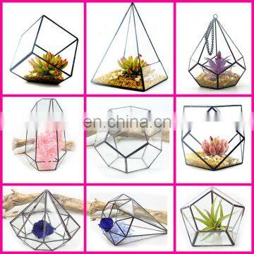 terrarium geometric glass terrarium wholesale