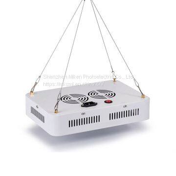 2018 OFF Promotions! Led Grow Light 300w Full Spectrum Led Grow Lights With 2 Years Warranty photo-5