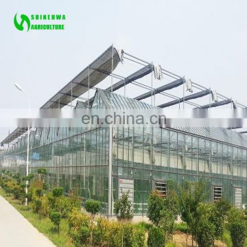 Factory Price Modern Style Agricultural Automatic Glass Greenhouse