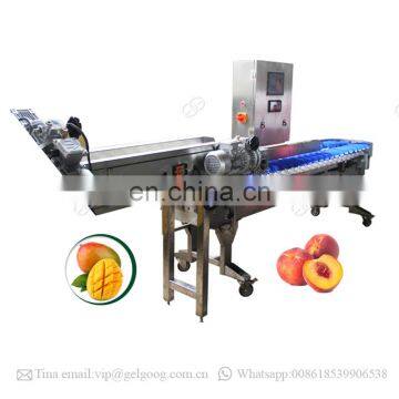 Automatic Onion Potato Sorting Machine Fruit Weight Grading Machine photo-4