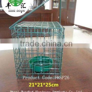 globe peanut bird feeder on sale from China