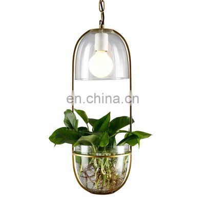 Modern Decorative Chandelier Gold Glass Clear Led Chandelier Lighting Pendant Lamp