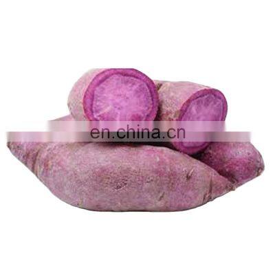 High quality  purple fresh sweet potato from Vietnam