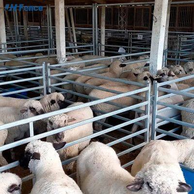 Moderne tragbare, feuerverzinkte Stahlpanels mit Pulverbeschichtung, faltbar, 6 Fuß lang, für Nutztiere und Pferde, sichere Zäunung, umweltfreundlich