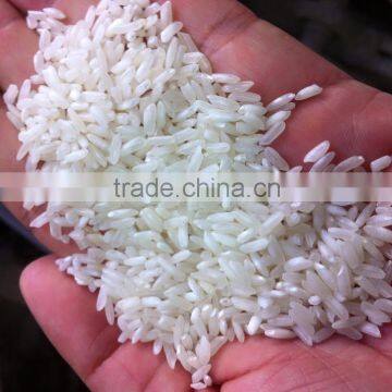 504 White Rice 5% Broken Export standard