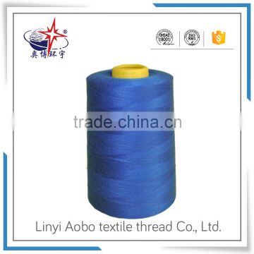 Blue polyester serger sewing thread for quilting                        
                                                                                Supplier's Choice