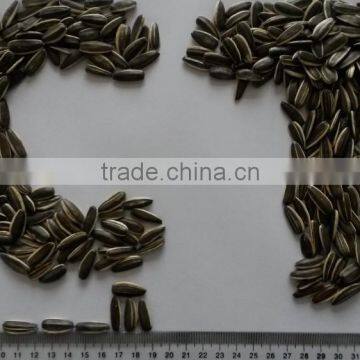 sunflower seeds specifications ,3939,5009