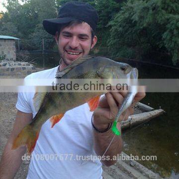 Best Quality Nylon Monofilament Fishing Lines 100% Made in Germany Bulk Spools 0.08-2.0mm UNIVERSAL Clear photo-5