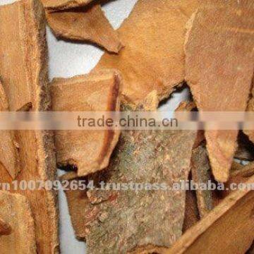 BROKEN CASSIA