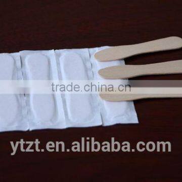 Disposable branded ice cream stick