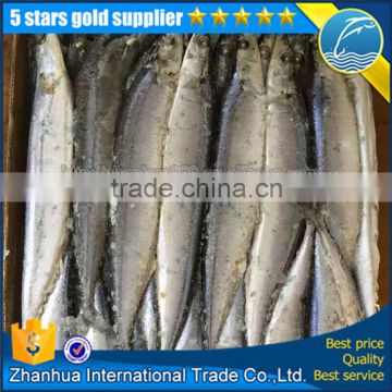 pacific saury fish whole round