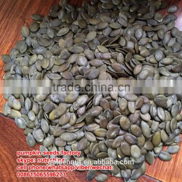 Organic Pumpkin Seeds grown without shell AAA/ AA/A/ OIL GRADE