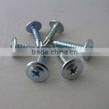 Phil drive drilling screw micro screw