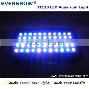 EverGrow IT2040 Programmable Battery Powered Led Aquarium Light
