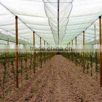 Hail protection netting