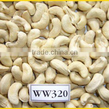 Vietnam Cashew Nut for Exporting photo-3