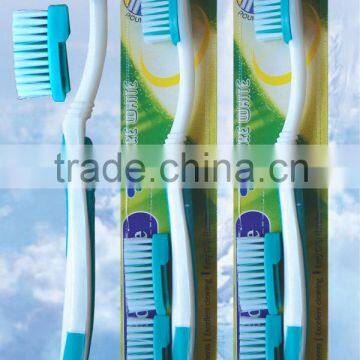 Manual Toothbrush with changeable head