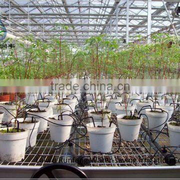 Drop Arrow drippers for water-saving greenhouse irrigation system