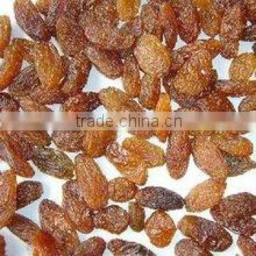 Supply Varies Dried Raisins in high quality