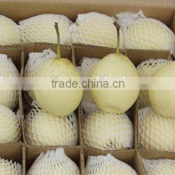 China fresh sweet ya pear with high quality