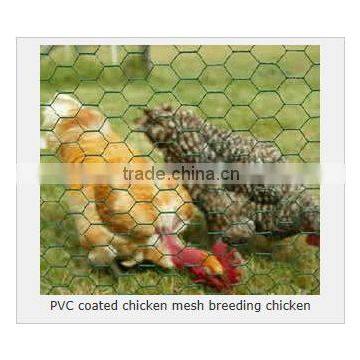 PVC Coated Chicken Wire, 13 - 75mm mesh, 0.6 - 1.6mm wire