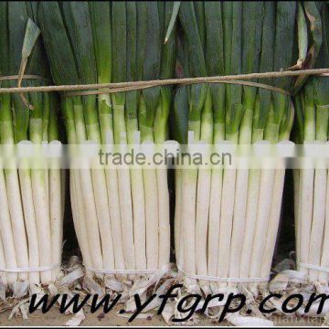 green onion