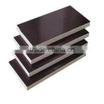 Brown film coated plywood-- poplar core