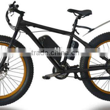 MTB Fat Tire Electric Bicycle with 500W Motor Ebike