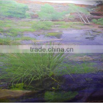 custom digital printed bedding, duvet cover, pillow case