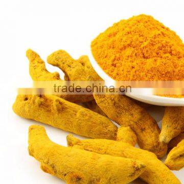 Bulp Turmeric Fingure in Indi
