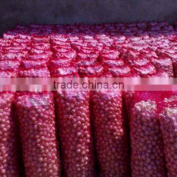 Red Onion ( Fresh ) Available Throughout the Year photo-6