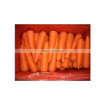 red carrot