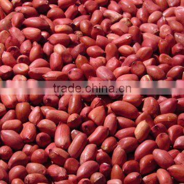 all size good quality peanut kernels(red)