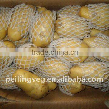 Chinese Fresh Potatoes New