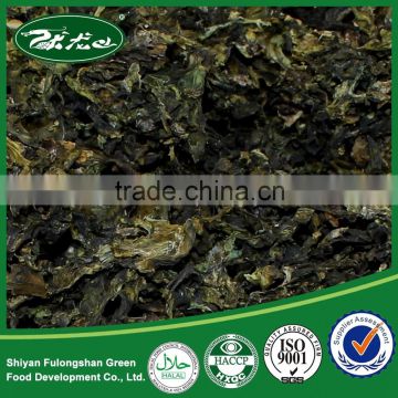 Natural dried artificial moss