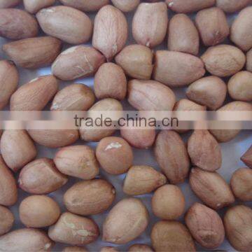 wholesale peanut