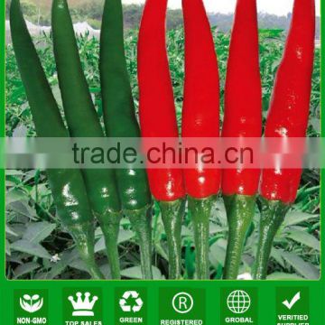 AP161 Binye single fruit setting red chilli pepper seeds