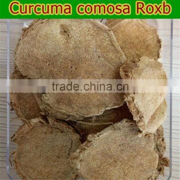 High Quality Pure natural Curcuma comosa Roxb medicine treatment of uterine dysplasia and symptoms of uterine malformation