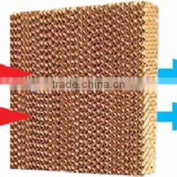 Advanced Chicken House Evaporative Cooling Pad for Poultry Houses photo-4