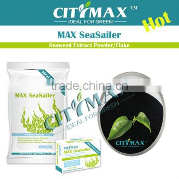 Marine Algae Extract Fertilizer Powder