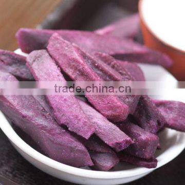 Food Vacuum Freeze Drying Lyophilizer Machine