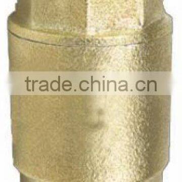 Vertical Check Valve