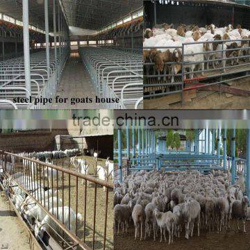 3 Inch Hot Dip Galvanized Steel Pipes for Fencing Post photo-6