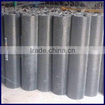 electro galvanized weleded wire mesh for cage