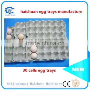 paper mold pulp egg tray packaging