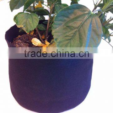 Hydroponic Plant Grow High Quality Felt Plant Pot