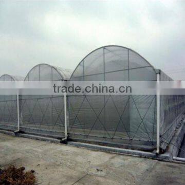 Hot Sale Film Greenhouse for Vegetables photo-2